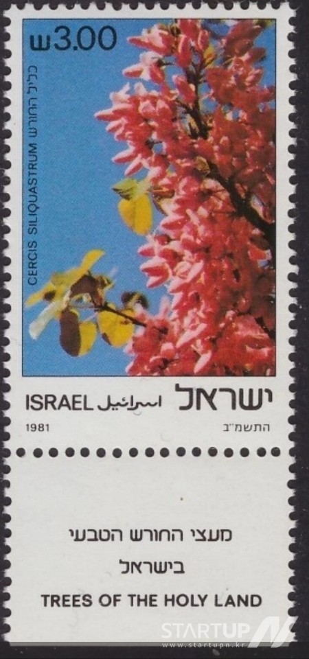 이스라엘 우표에 등장한 서양 박태기나무(유다나무)