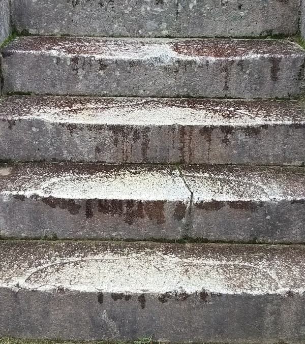 신라인들이 불국사 극락전에 가려면 연꽃잎이 새겨진 이 계단을 올라야 했다.