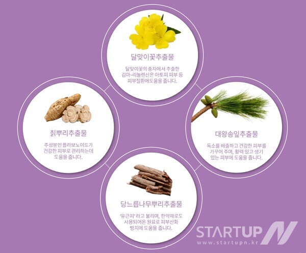 벨로파드 이미지