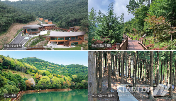 싱그러운 녹음 가득 전남 숲에서 숲캉스 즐기세요