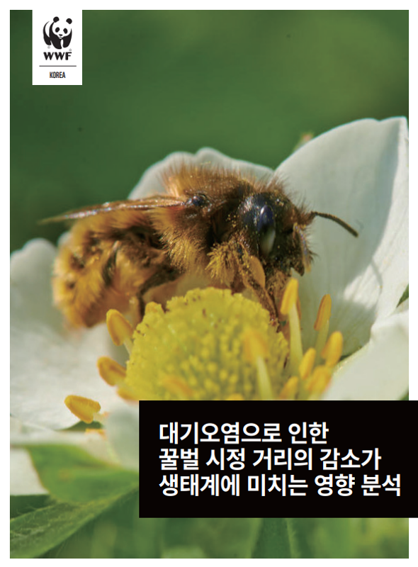 대기오염으로 인한 꿀벌 시정거리의 감소가 생태계에 미치는 영향 분석’ 보고서 표지 (사진=© WWF-Korea)