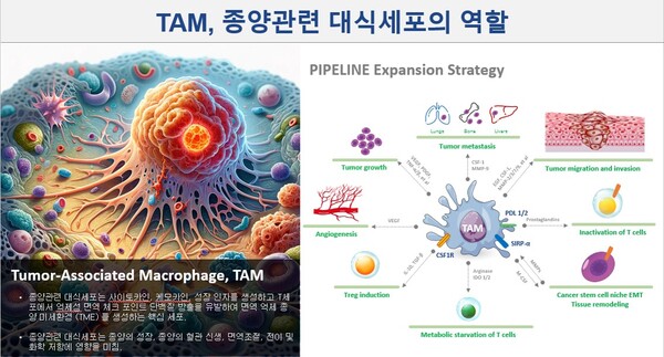 면역바이오랩(주) 이미지