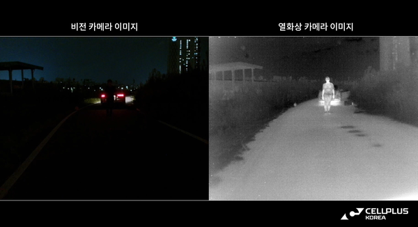 셀플러스 이미지