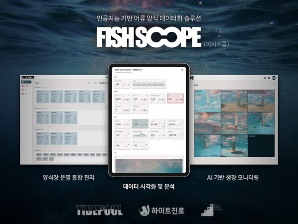 타이드 이미지