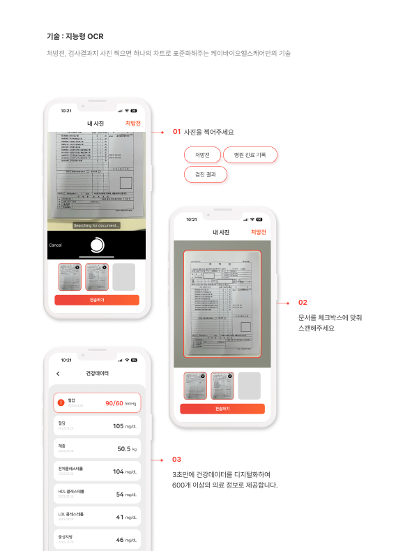 바카라 카지노