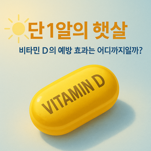 단 1알의 바카라 체험머니, '비타민 D' 질병 예방의 열쇠 될까