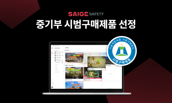 세이프티블루 이미지