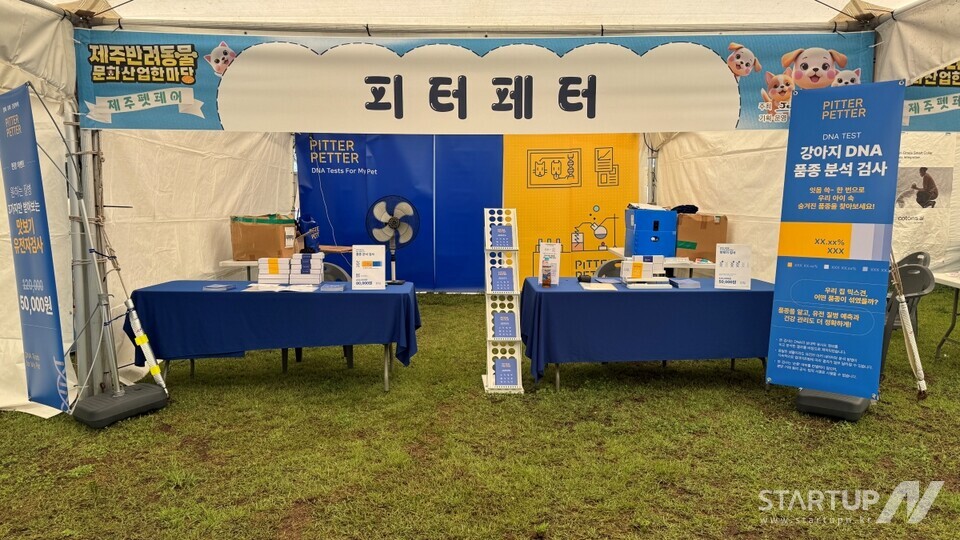 피터페터, ‘2025 제주 반려메이저 사이트 문화산업 한마당’ 성료