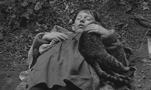 「サタン タンゴ」の一場面