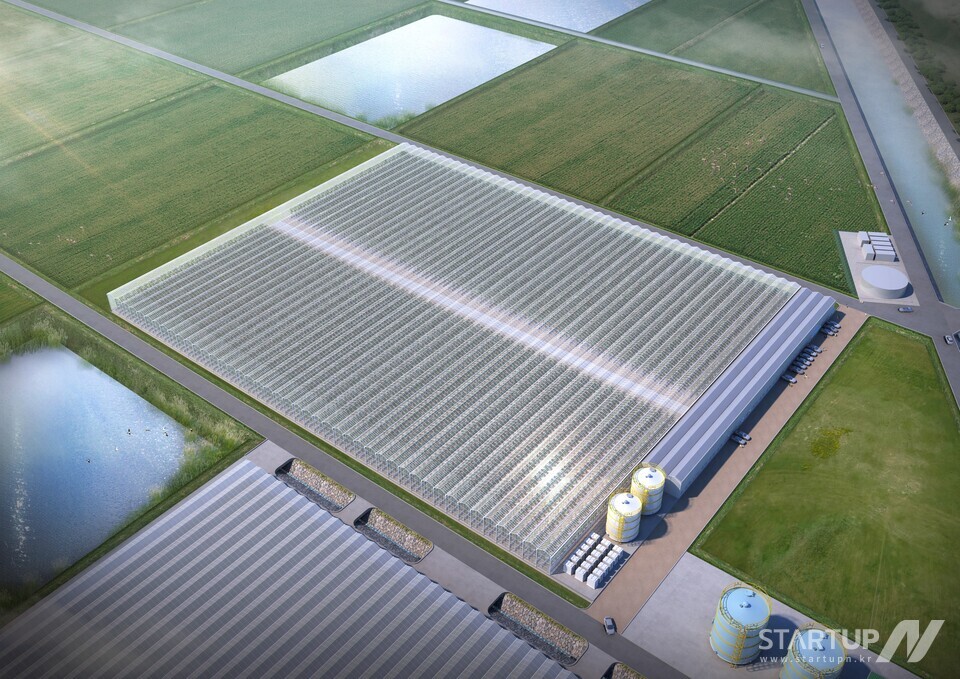 泰安スマートファームの鳥瞰図